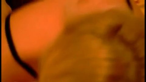 Perverzna matorka pusi kitu thumb1